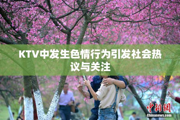 KTV中发生色情行为引发社会热议与关注