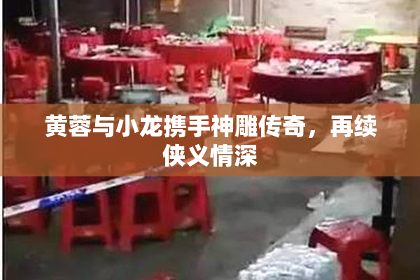 黄蓉与小龙携手神雕传奇，再续侠义情深