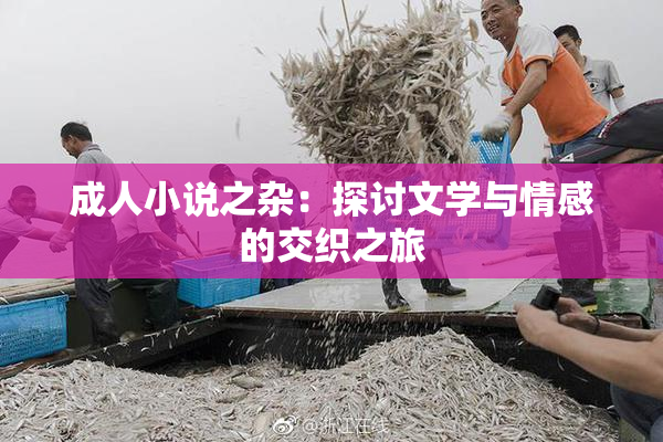 成人小说之杂：探讨文学与情感的交织之旅