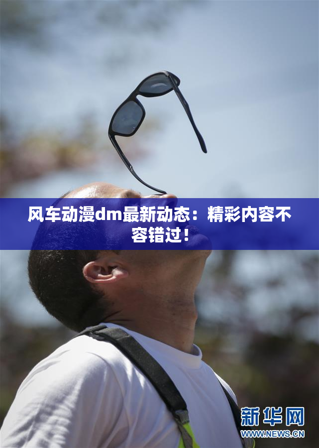 风车动漫dm最新动态：精彩内容不容错过！