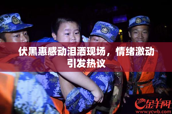 伏黑惠感动泪洒现场，情绪激动引发热议