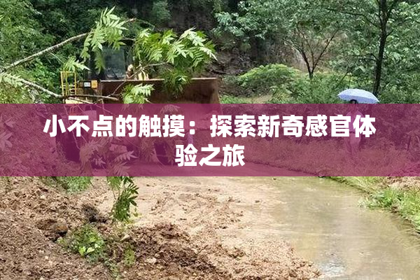 小不点的触摸：探索新奇感官体验之旅