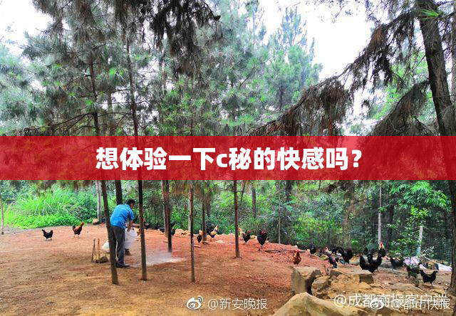 想体验一下c秘的快感吗？