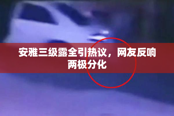 安雅三级露全引热议，网友反响两极分化