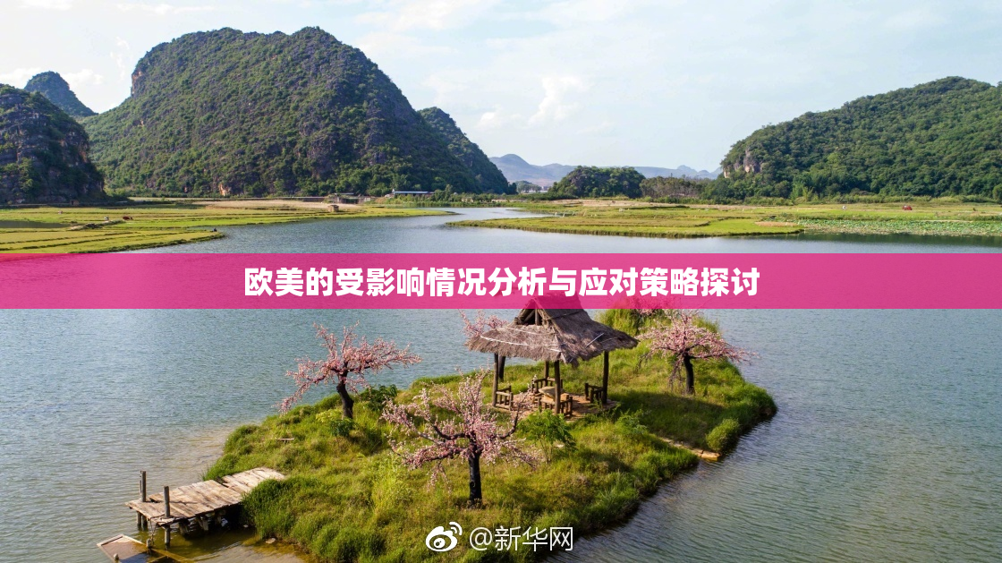 欧美的受影响情况分析与应对策略探讨