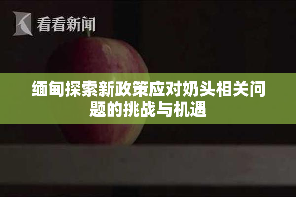缅甸探索新政策应对奶头相关问题的挑战与机遇