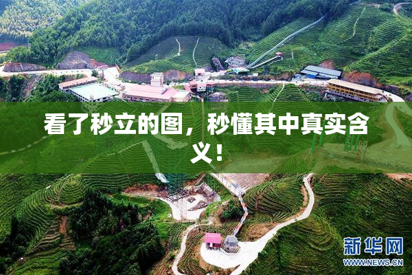 看了秒立的图，秒懂其中真实含义！
