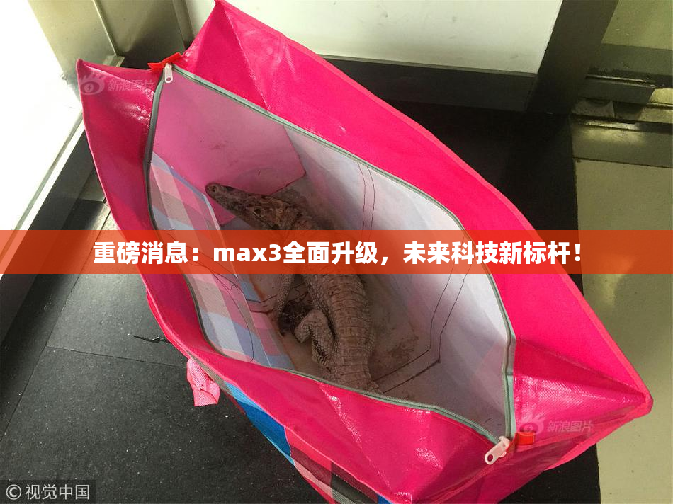 重磅消息：max3全面升级，未来科技新标杆！