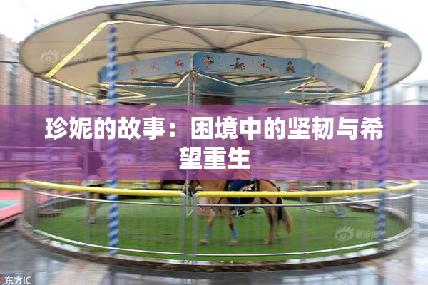 珍妮的故事：困境中的坚韧与希望重生
