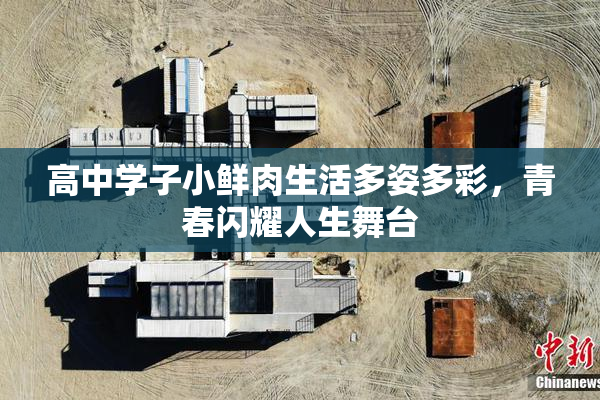 高中学子小鲜肉生活多姿多彩，青春闪耀人生舞台