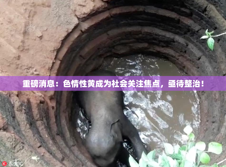 重磅消息：色情性黄成为社会关注焦点，亟待整治！