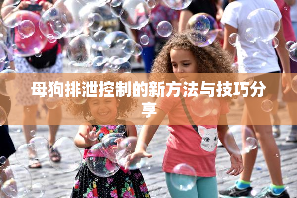 母狗排泄控制的新方法与技巧分享