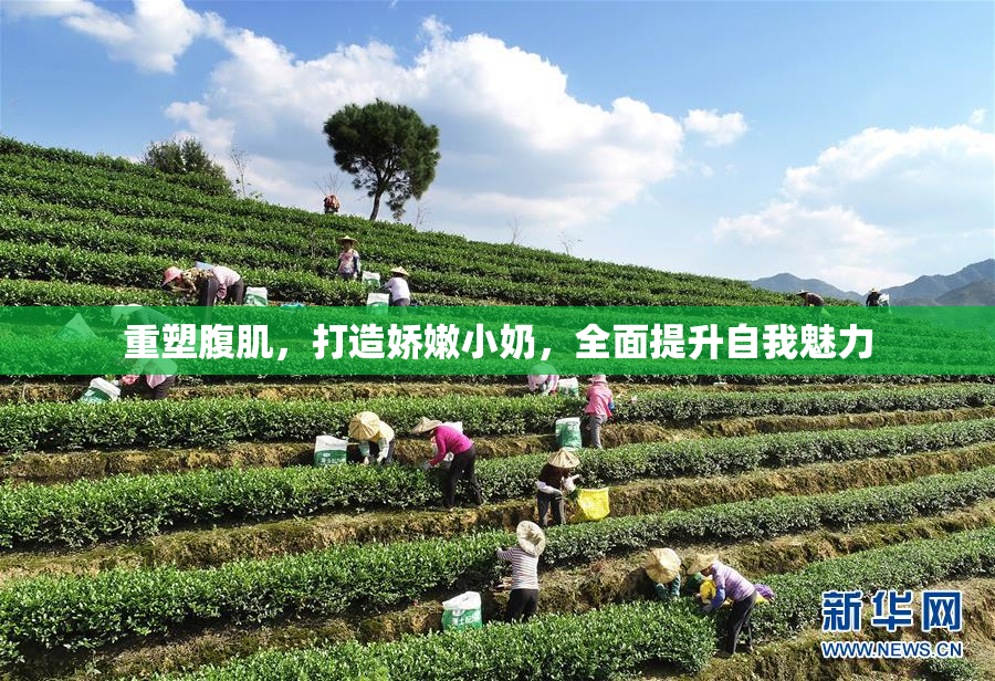 重塑腹肌，打造娇嫩小奶，全面提升自我魅力