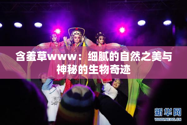 含羞草www：细腻的自然之美与神秘的生物奇迹
