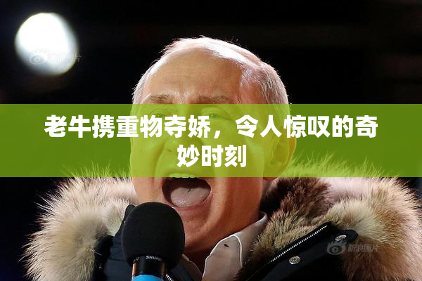 老牛携重物夺娇，令人惊叹的奇妙时刻