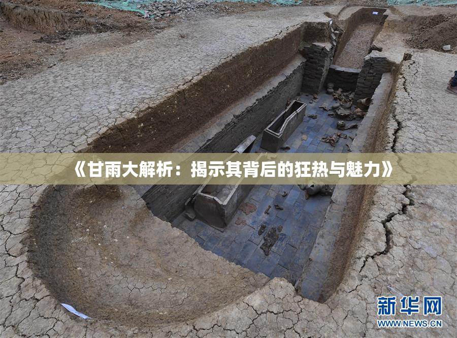 《甘雨大解析：揭示其背后的狂热与魅力》