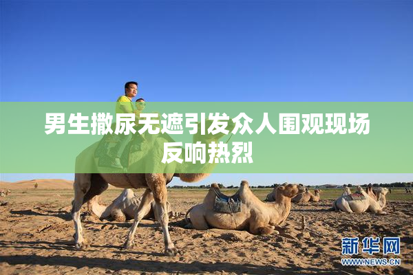 男生撒尿无遮引发众人围观现场反响热烈
