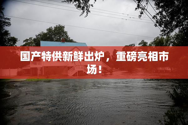 国产特供新鲜出炉，重磅亮相市场！