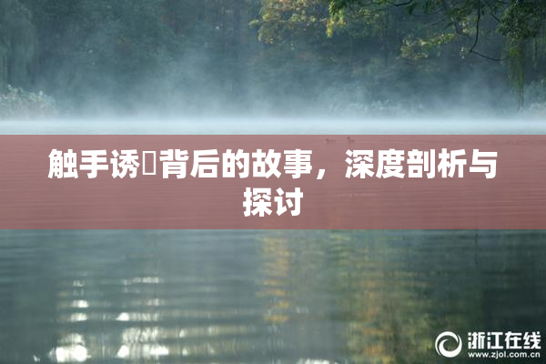 触手诱奷背后的故事，深度剖析与探讨