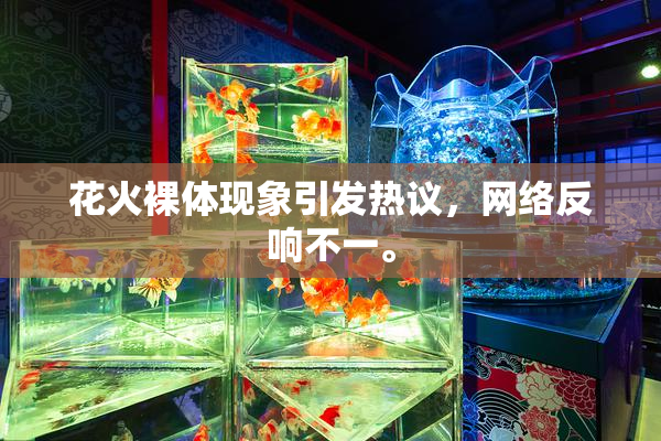 花火裸体现象引发热议，网络反响不一。