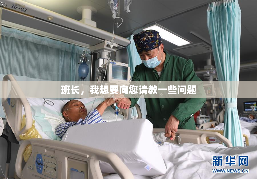 班长，我想要向您请教一些问题