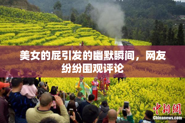 美女的屁引发的幽默瞬间，网友纷纷围观评论
