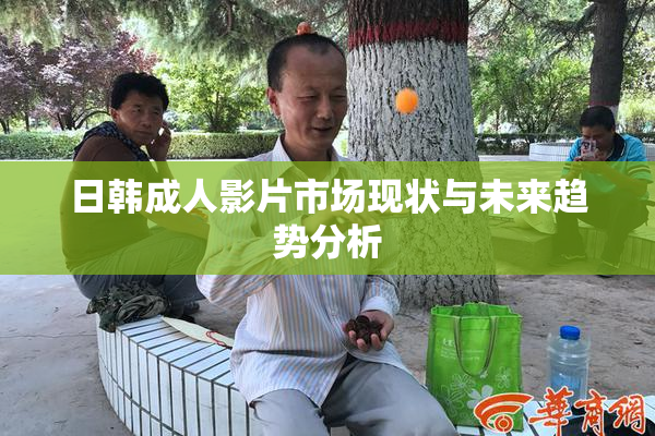 日韩成人影片市场现状与未来趋势分析