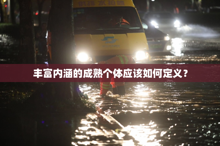 丰富内涵的成熟个体应该如何定义？