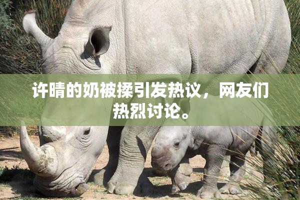许晴的奶被揉引发热议，网友们热烈讨论。