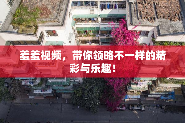 羞羞视频，带你领略不一样的精彩与乐趣！