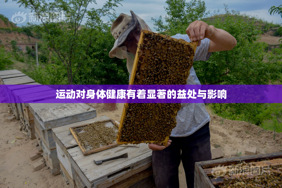 运动对身体健康有着显著的益处与影响