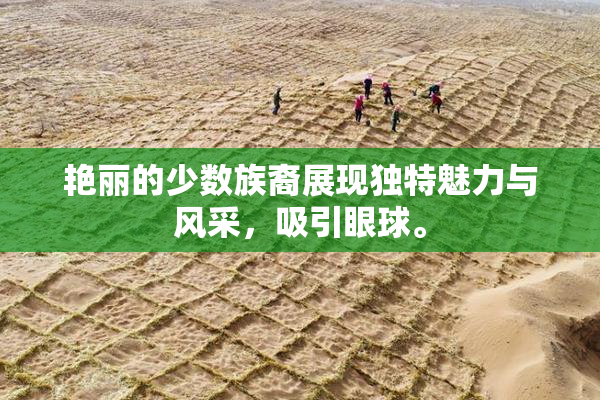 艳丽的少数族裔展现独特魅力与风采，吸引眼球。