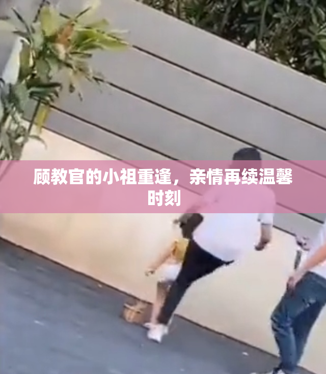 顾教官的小祖重逢，亲情再续温馨时刻