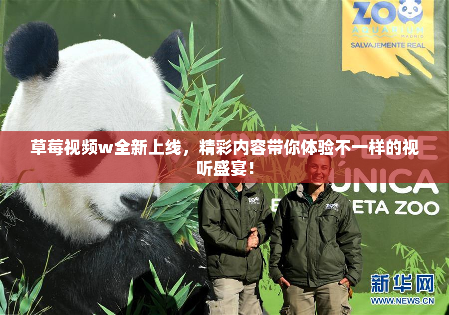 草莓视频w全新上线，精彩内容带你体验不一样的视听盛宴！