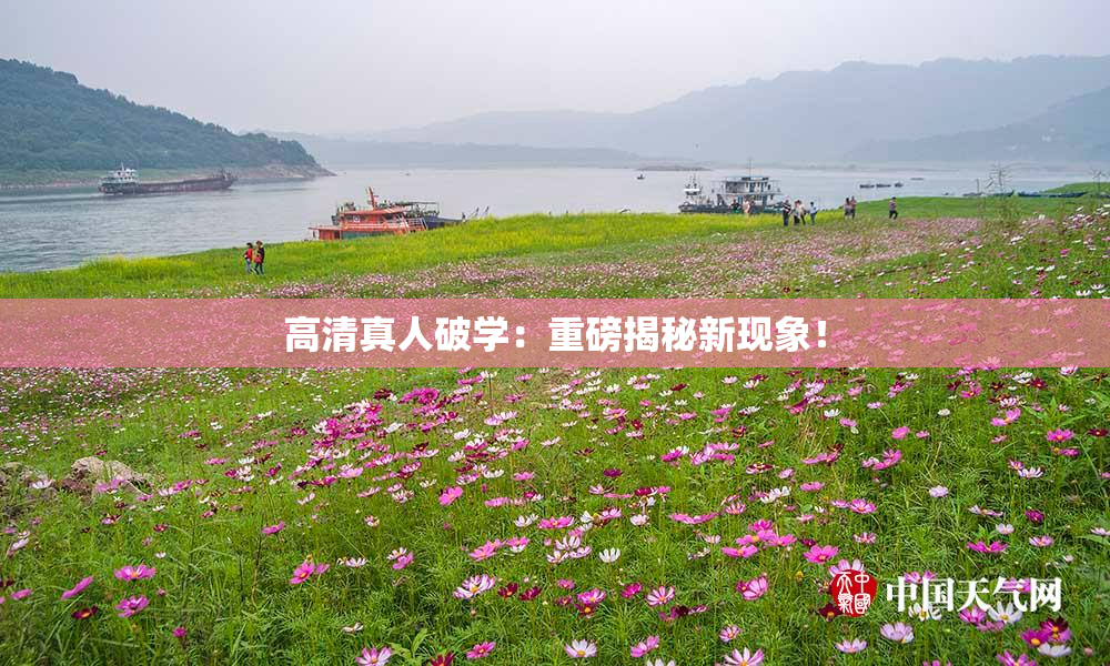 高清真人破学：重磅揭秘新现象！