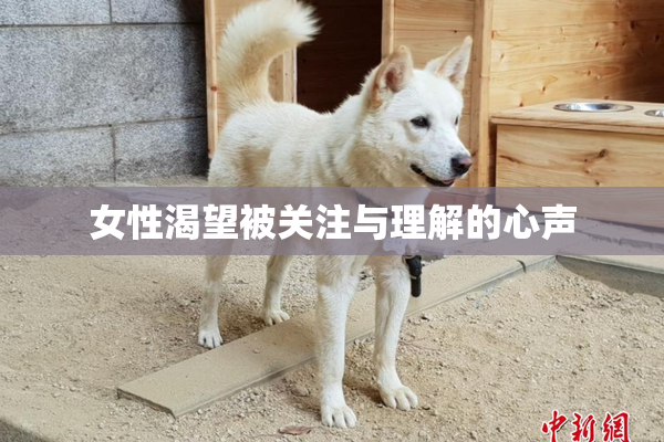 女性渴望被关注与理解的心声