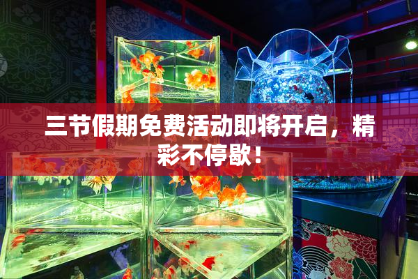 三节假期免费活动即将开启，精彩不停歇！