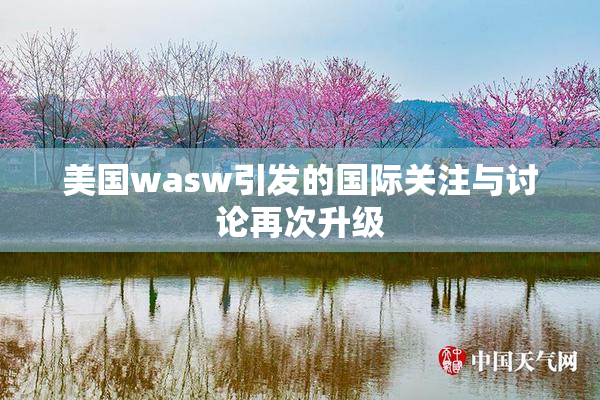 美国wasw引发的国际关注与讨论再次升级