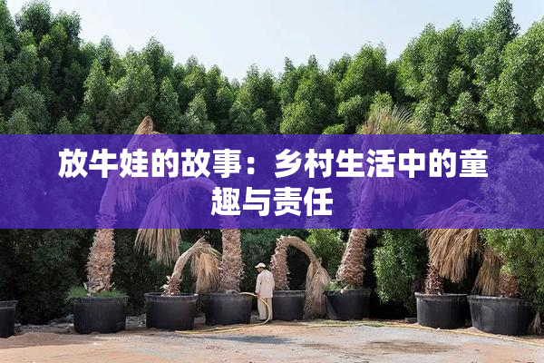 放牛娃的故事：乡村生活中的童趣与责任