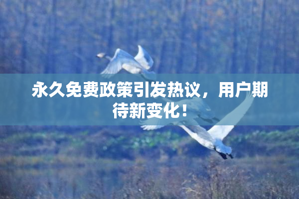 永久免费政策引发热议，用户期待新变化！