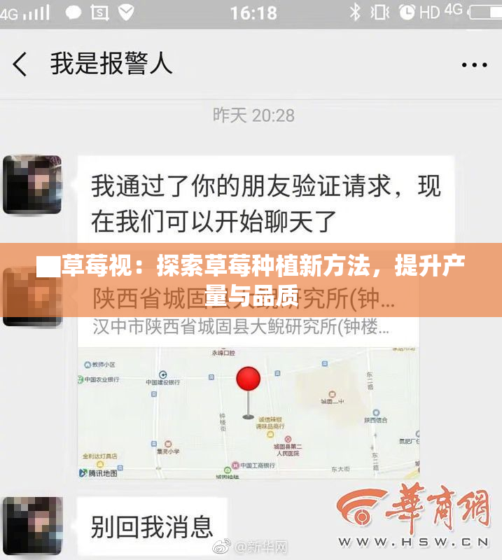▇草莓视：探索草莓种植新方法，提升产量与品质