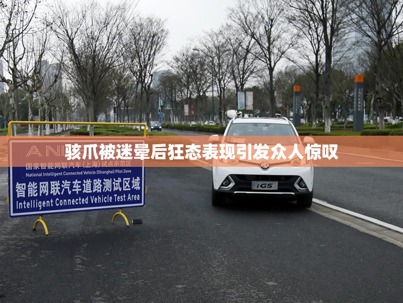 骇爪被迷晕后狂态表现引发众人惊叹