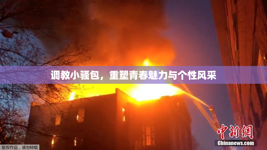 调教小骚包，重塑青春魅力与个性风采