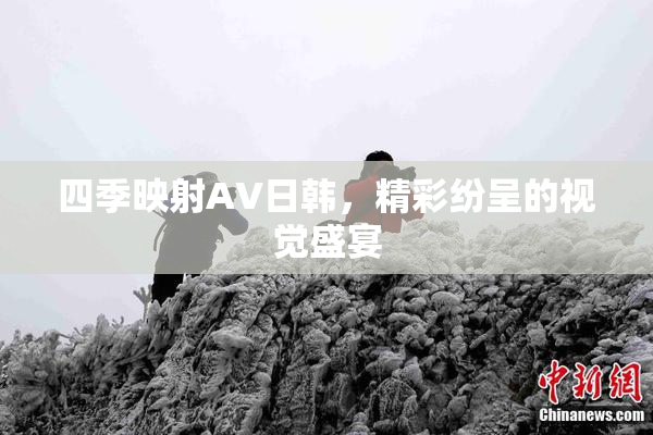 四季映射AV日韩，精彩纷呈的视觉盛宴