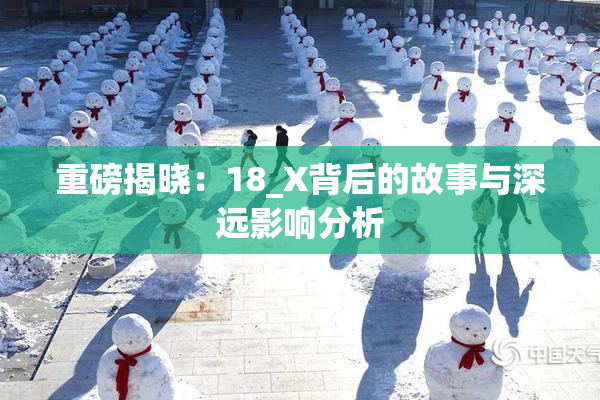 重磅揭晓：18_X背后的故事与深远影响分析