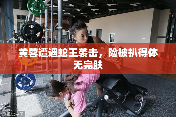 黄蓉遭遇蛇王袭击，险被扒得体无完肤