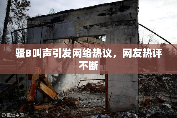 骚B叫声引发网络热议，网友热评不断