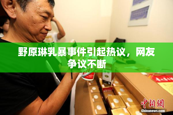 野原琳乳暴事件引起热议，网友争议不断