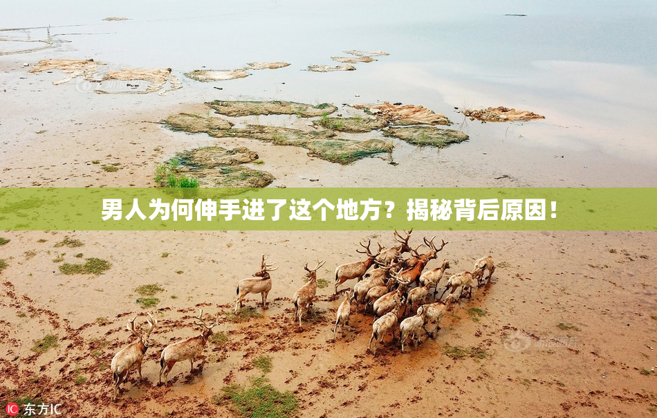 男人为何伸手进了这个地方？揭秘背后原因！