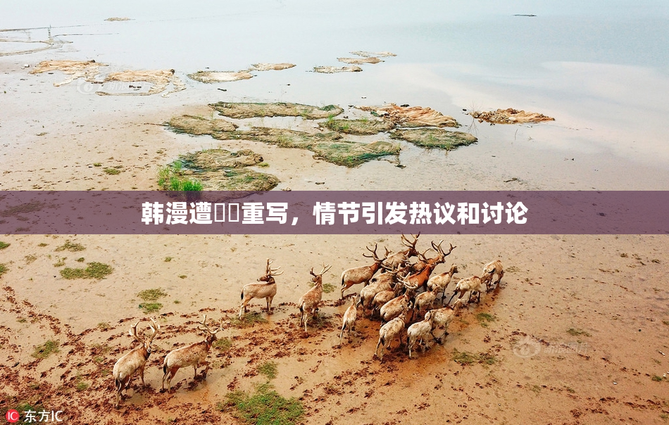 韩漫遭❌‌重写，情节引发热议和讨论
